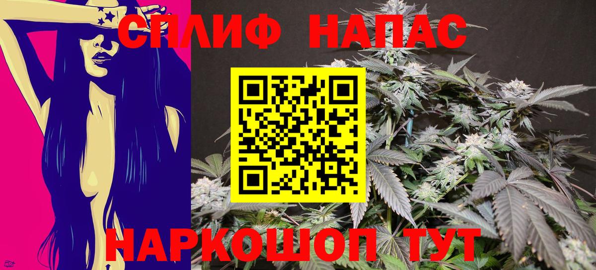 Конопля гибрид Кингисепп